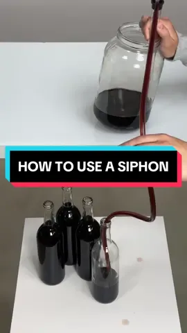 Replying to @OM how to use a siphon to transfer liquid #mead #homebrewing #meadmaking 