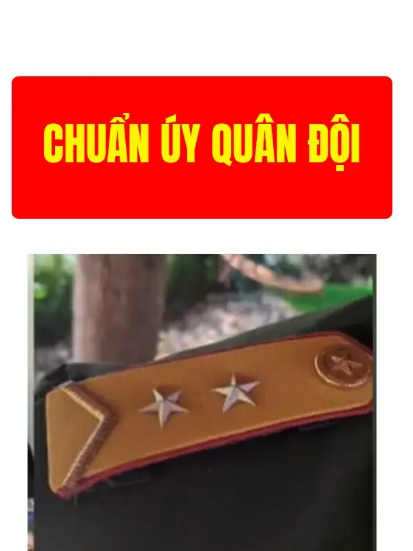 #bodoi #hauphuong #nghiavuquansu 