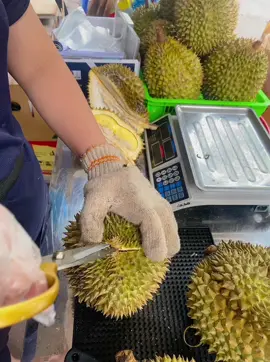 Bổ quả sầu Thái Monthong hạt lép 😍#sầuriêng  #sầuthái #CapCut #xuhuongtiktok 