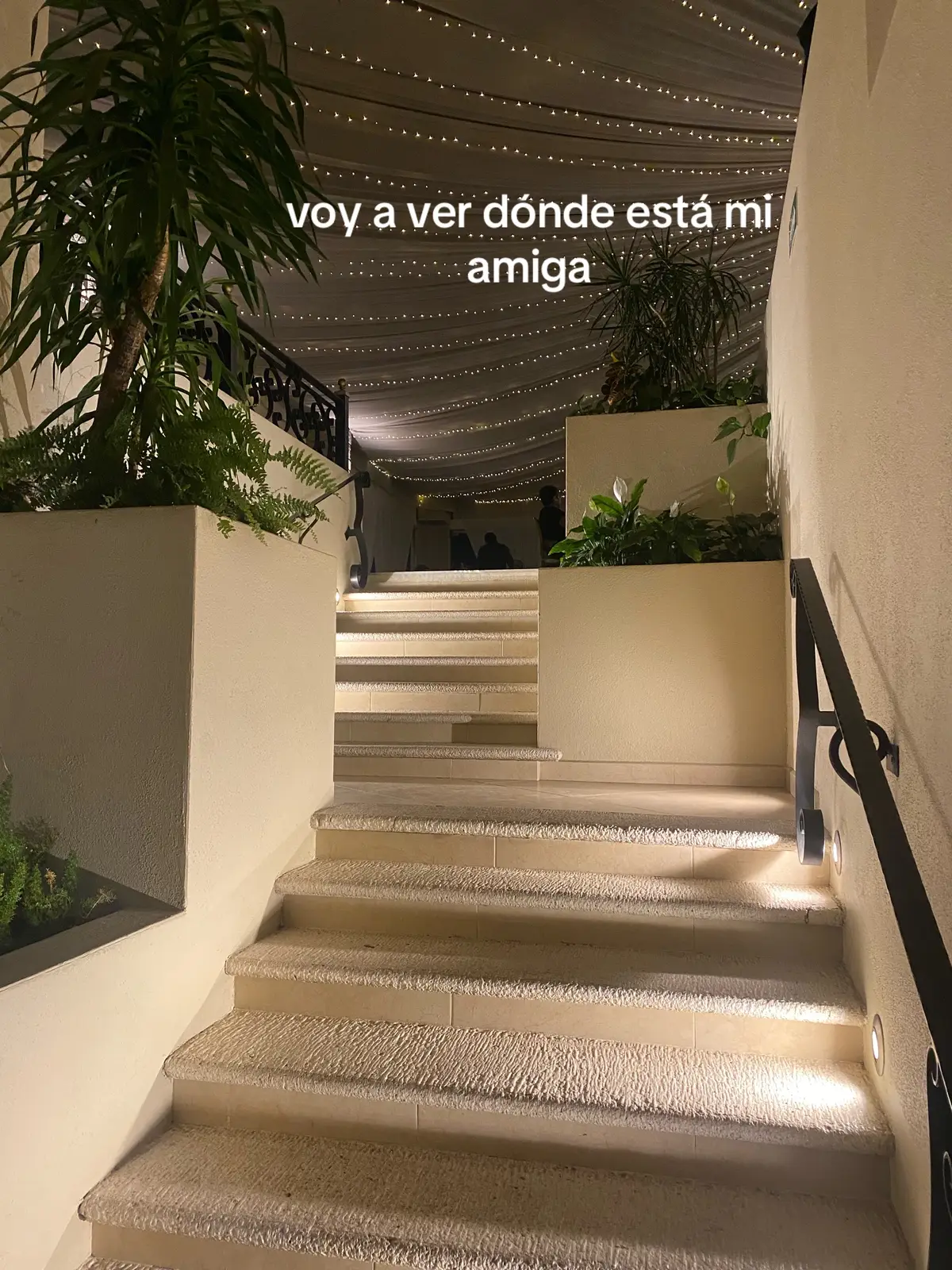 eso vv alocate jajaja 