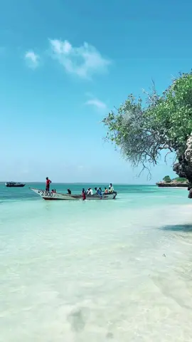Kaluumaysato ubaxaya sidii ay u heli lahaayeen nolashooda aas aasiga ah. Jasiirada Kooyaame #visitjubaland