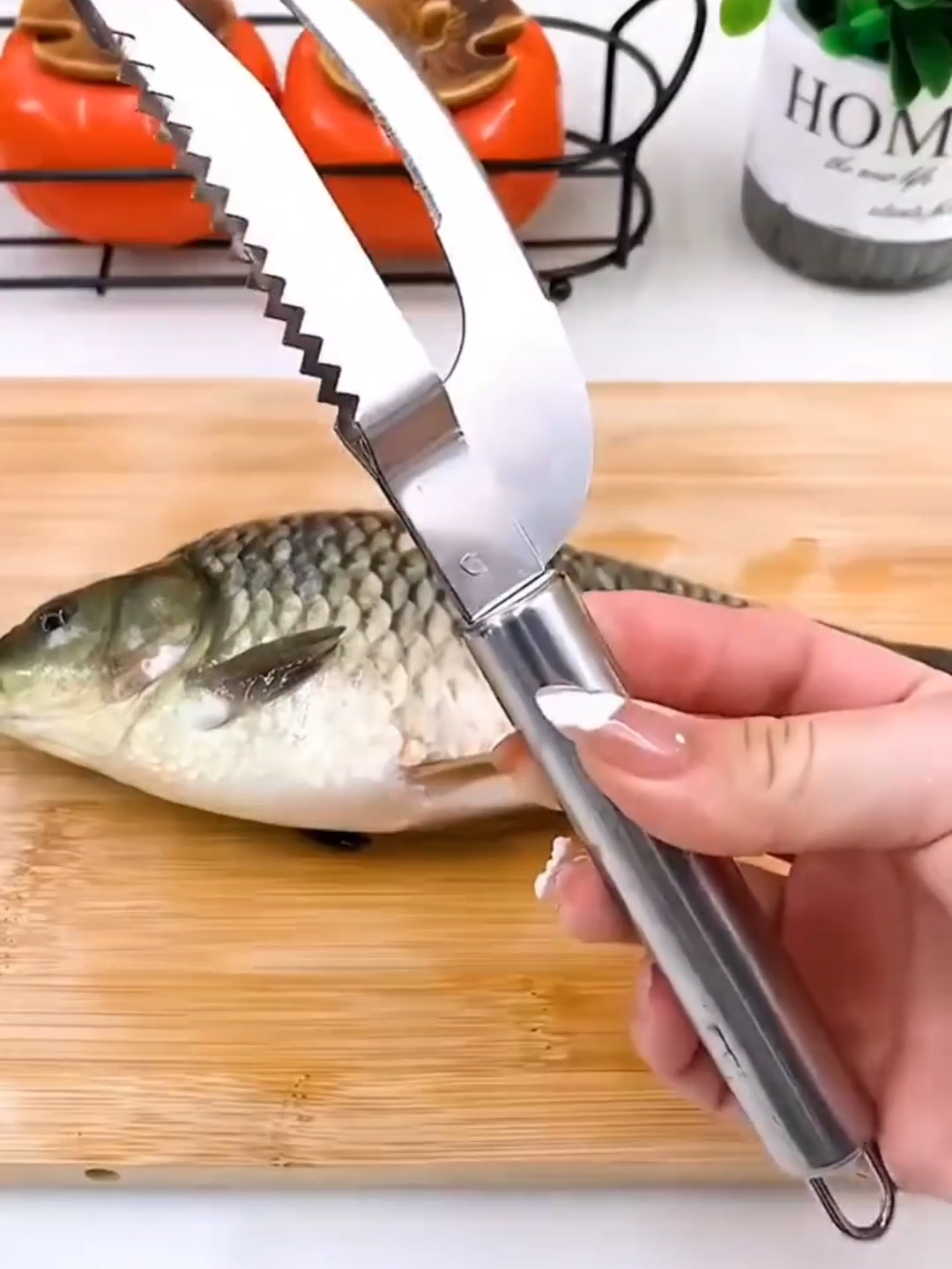 Make meal prep a breeze with our 2-in-1 fish peeler knife! 🍣 Stainless and super handy for all your cooking adventures. Get ready to fillet like a pro! 🌟 #sgkitchen #mealprepmadeeasy #CookingTools #stainlesssteel #SingaporeEats #thriftmommyfinds #tiktokshopsg #tiktokmademebuyit
