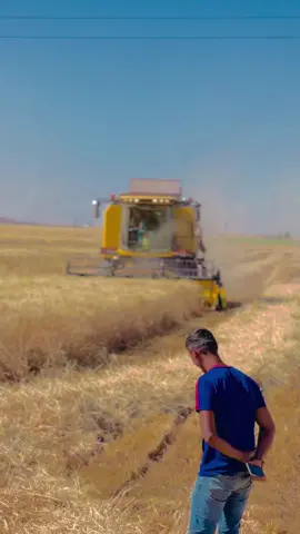 #cabbarçakar #viranşehir #kesşfet #biçim @Fevzi Tanç @Mehmet Gürek 