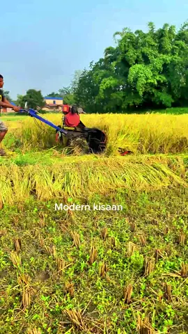 Mini Tiller Paddy Reaper With Village Farmer #modernkisaan #tractor #farming #minitiller🚜 #paddyreaper