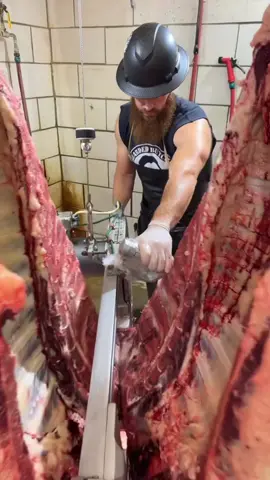 Splitting a beef in half. 🔪🥩 #reelsinstagram #reels #reelsviral #reelsvideo #video #viral #trending #foryou #fyp #bbq #meat #beef #steaks #thebeardedbutchers #youtube #butcher #food #beardedbutcher #eat #algorithm #barbecue #steak #filet #algorithim #algorithms #Foodie #beef #ribeye #tomahawk