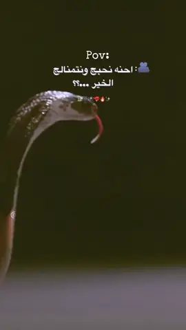 #اكسبلورexplore