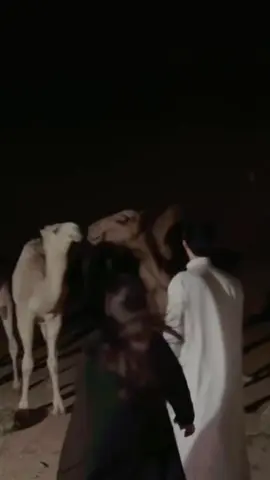 #CapCut انتي اخذي عزك من اسم العتيبي 🫡 #CapCut #عضيان_العضياني #افلا_ينظرون_الى_الابل_كيف_خلقت #الشعب_الصيني_ماله_حل😂😂 #عتيبه_الهيلا #اكسبلورexplore @سواليف ابو سحاب 