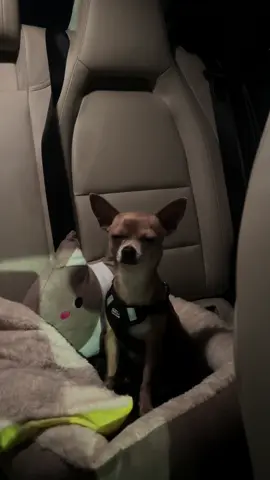 FORT BOYARD utazás | #fortboyard #rtl 