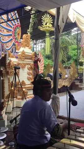 Naguudd 😁 #kuwungwetanstory #musikbanyuwangi #kendang #kendangbanyuwangi #campursari #banyuwangi 