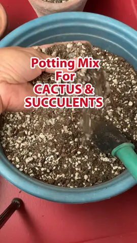 #pottingmixforcactus&succulents #pumice #soillessmixforcactus&succulents