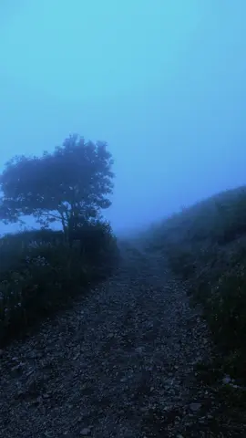 ethereal. - ghxsted #fyp #calm #darkaesthetic #ambient #vibes 