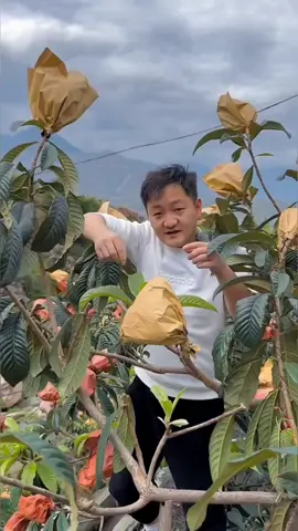 OMG👩‍🌾🥰😋🍀💥#top #asmr #fyp #foryou #fruit #tiktok 