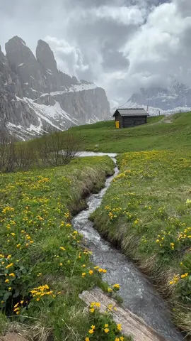 #الشمال_الإيطالي #اورتيسي_الشمال_الايطالي #اورتيسي #اورتيسي_عروس_الشمال_الايطالي #2024  الشمالي الايطالي من افضل الارياف الاوروبيه 👌