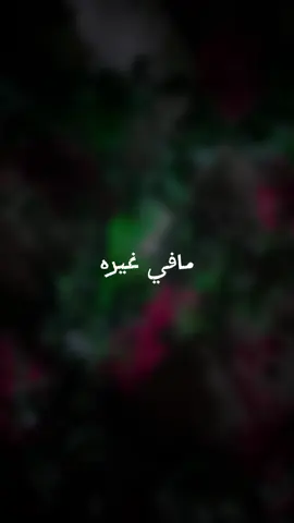 الشيله ماطلعت من راسي 😞❤️ #قوالب_كاب_كات #شيلات_ياسر_الشهراني #على_جوي 