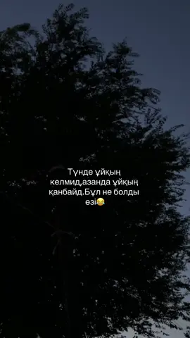 #рекомендации 