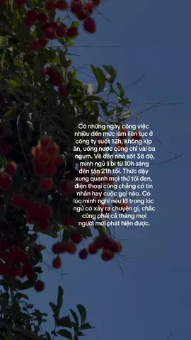 Em cũng mệt lắm, nhưng em thương gia đình.