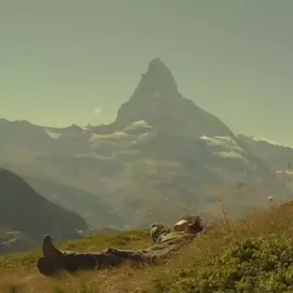 heat waves // glass animals                                                                                                                                                                                         #heatwaves #glassanimals #trending #fyp 