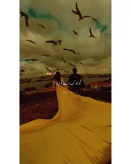 𝙏𝙚𝙧𝙞 𝙣𝙖𝙯𝙧𝙤 𝙠 𝙨𝙖𝙙𝙦𝙚 𝙟𝙖𝙖𝙣 𝙫𝙖𝙖𝙧 𝙙𝙪𝙣𝙜𝙖 🥺🤌🏻❤️ #bollywoodsong #romanticsong #lovesong #lovestatus  #whatsappstatus #indiansong #trending #songs #viralsong #aesthetic #fyp #aishaestics 