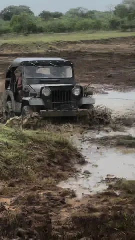 #nature #mud #mitsubishi #4dr5 #safari #flood #srilanka #yala #yalablock2 #nationalpark #fyp #offroad #4x4 #chills #vibes #everyone #highlights #trending #viral #jeep #jungl #travel #tiktok #views #likes #islandlife🌴 