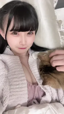 そぼろさんにふみふみされてる🐱 #アイドル #地下アイドル #グラビア #おすすめにのりたい 