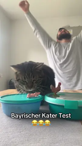 Bayrischer Katertest 😂 #bayrisch #katze #sau #kater #comedy