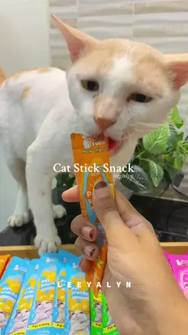 Cat stick untuk kucing ! 😻 Si bulus suka bibik pun senang hati 🥰 #catstick #catsnack #makanankucing #kucing #fyp #jajankucing 
