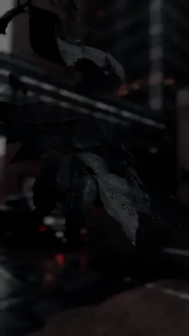 beratnya jadi seorang laki-laki. #story 