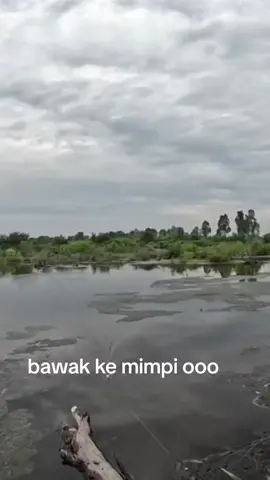 mimpi strike ikan.lama tak mancing macam ni la jadinya #mancing #fyp #fypシ゚viral #strikeikan #strikeikanbesar #kedahdarulaman🌾 #CapCut 