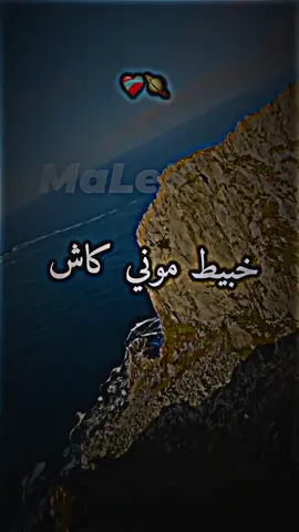 خبيط موني كاش 💸💶🫀 #شاشة_سوداء🖤 #شاشة_سوداء #musique_شاشة_سوداء #rai_شاشة_سوداء #شاشة_سوداء_لتصميم🖤🔥🍂 