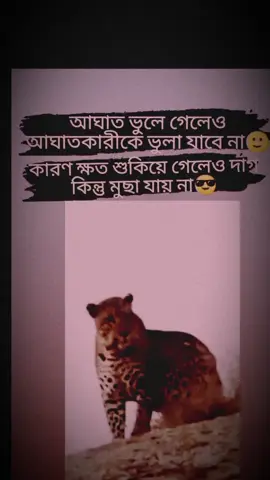 #you #fypシ #vairal #fyp #tiktokofficia #officia #upage❤️❤️❤️foryou💞💞🖤🖤🥀🥀 #ভাইরাল_ভিডিও_টিকটক। #আর্জেন্টিনার_লাভার_গুলো_কই🙋‍♀️🇦🇷 #ডিমারিয়ার_বক্ত_দের_দেখতে_চাই🥰🇦🇷 #trending #officia 