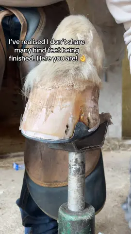 Honestlu not the prettiest hoof but loverly and strong 💪 #farrier #farriersoftiktok #fyp #viral #equestrian #fypage #fypシ゚viral #oddlysatisfying #asmr #forfarriersbyfarriers 