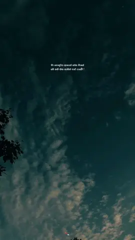 Wait for drop ! 🥹🤍