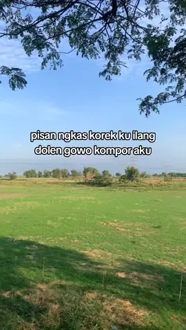 tak gowo sak gas e #fyp #malingkorek #berandafyp 