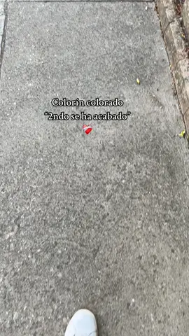 Os hechare de menos #2ndo #❤️‍ #paratii #viral 