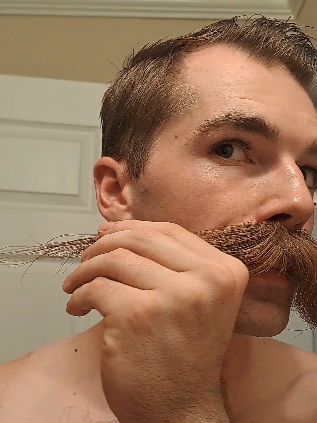 National Champion of the styled handlebar mustache is showing how he shapes his mustache into perfection #BVIRAL @balmyink