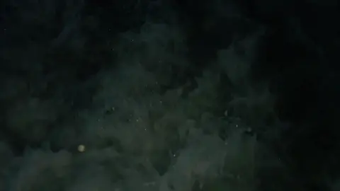 🖤#istanbul #türkiye🇹🇷 #cityoflove #magicplace #istanbulbynight #fyp