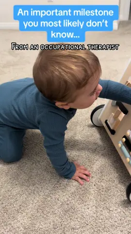 Babies transfer into a standing position from sitting, progressing through KNEELING (short kneel, tall kneel, half kneel), to then standing! Once your baby shows readiness, incorporate this into their play routine. You can do this by using a walker as shown in the video or by placing toys higher up to encourage them to transition into a kneeling position. #occupationaltherapy #babydevelopment #infantdevelopment #MomsofTikTok #babiesoftiktok #sahm #motordevelopment #grossmotor #babymilestones #firsttimemom #firsttimeparents #newparents #parentingtips #crawlingbaby #walkingbaby #babyboy 