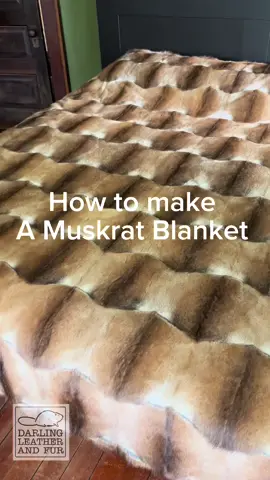How I make a Muskrat Blanket! #hunting #trapping #hunter #trapper 