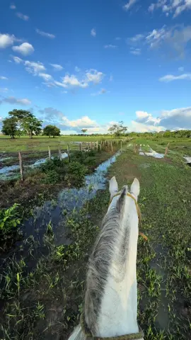 Hermoso 🩵🍀🍀#llanos #finca #ganaderia 🐄🐃🐎