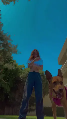 Do we like this one better? Ft rajah 🐕🩷 dc @Iyxd__ #fyp #foryou #foryoupage #fypage #manifest #manifestation #flighthouse #filipina #fypシ 