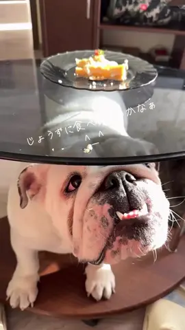 2024.6.13 早朝より