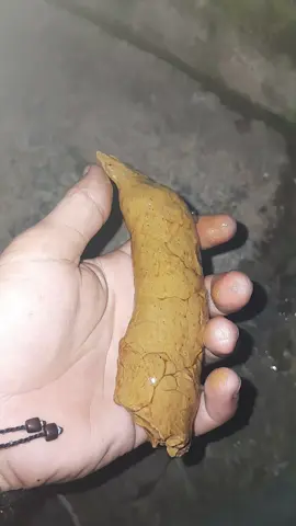 Definisi TAI dalam mencinTAI, MencinTAI takan lengkap tanpa TAI😃  #tai #fypage #fypシ゚viral 