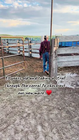 Grateful for the one who shared his love of horses with me. ♥️ #grateful #grandpa 