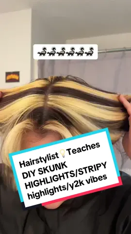 #creatorsearchinsights I teach you how to do these y2k chunky highlights with a total of  9 foils! Using @Wella Professionals Color Charm Powder Lightener + 30volume to achieve.  I always protect my hair from excess damage using @olaplex 1, 2, 4-in-1 treatments💁🏼‍♀️ DROP ANY questions below id love to help! @Sally Beauty  #skunkhair #skunkhighlights #stripes #y2khair #highlightshair #chunkyhighlights #highcontrasthair #diyhighlights #bleachingmyhair #wellahair #skunkstripe 