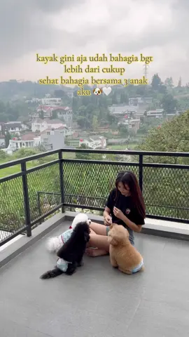 hanya dog mom yg mengerti ygy 😜 #dogmom #poodle #bichonfrisé 