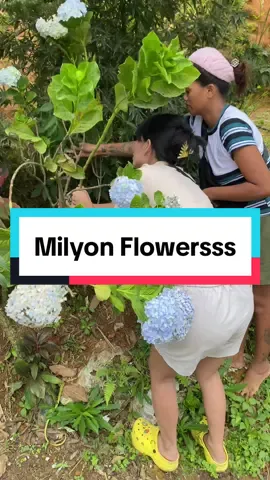 #antiykuls #antiyjodesa 