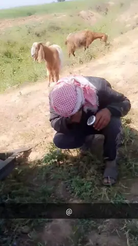 عجل منيج علي مقبي وجهك😂😂