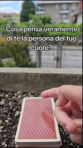 L'Universo sta bussando alla tua porta con tutte le risposte: sei pronta? Per un CONSULTO PRIVATO APPROFONDITO sulla tua personale situazione scrivimi al nr che trovi nel link del mio profilo 🍀 #cartomanteprofessionista #cartomanziaprofessionale #letturatarocchi #tarocchi #lovecoach #tarocchiamore #cartomante 