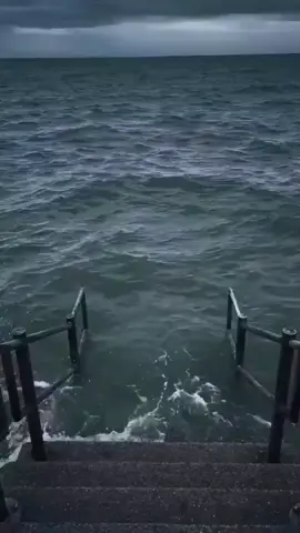 bình luận viên... 😂 #meme #thaibaomeme #funny #funnyvideos 