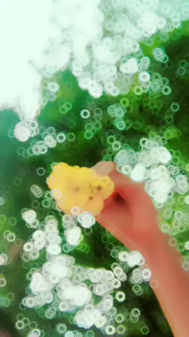 #CapCut ইতিহাস সাক্ষী যারা মন থেকে ভালোবাসে, তারা কখনো ভালবাসা পায় না..!🖤😌